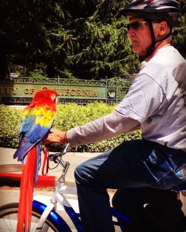 Get Ready for Funny Animals #319 (29 photos)