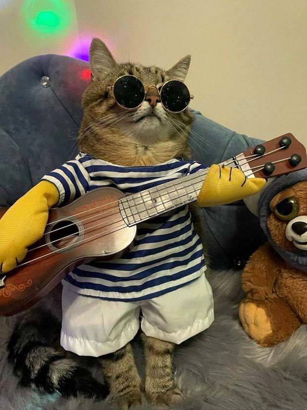 Get Ready for Funny Animals #319 (29 photos)