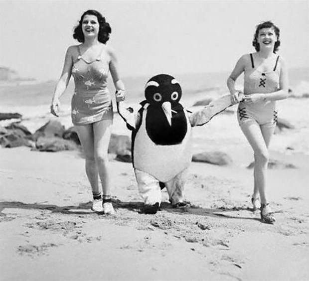 Strange Moments Captured in Vintage Photos