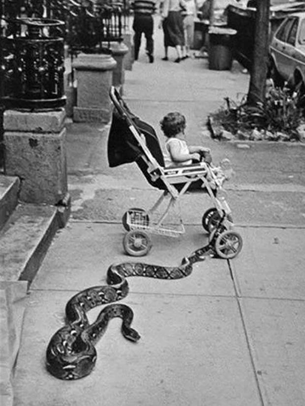 Strange Moments Captured in Vintage Photos