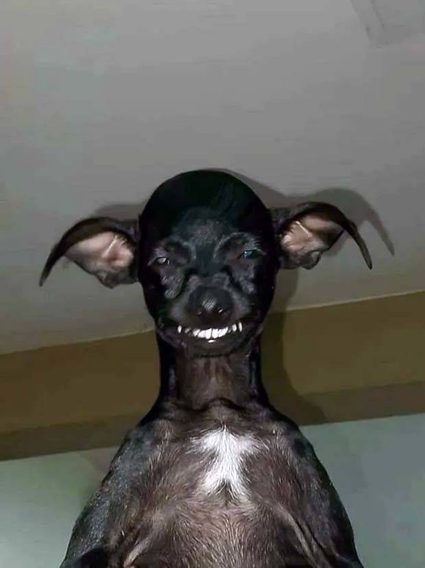 uhm nope 11 Nope, Thanks! #28 (26 photos)