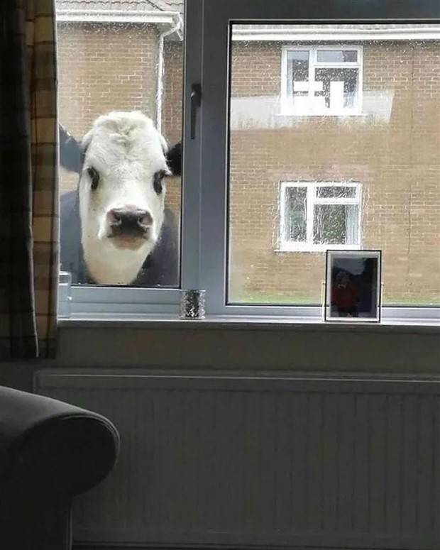 uhm nope 16 Nope, Thanks! #28 (26 photos)