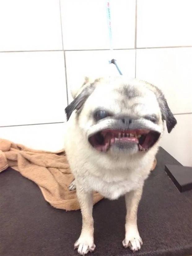 uhm nope 18 Nope, Thanks! #28 (26 photos)