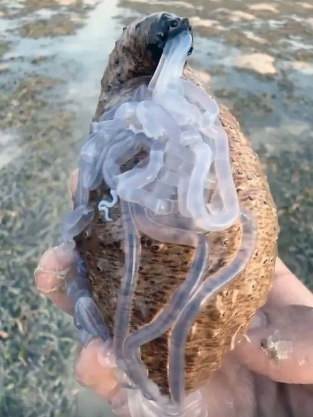 uhm nope 19 Nope, Thanks! #28 (26 photos)