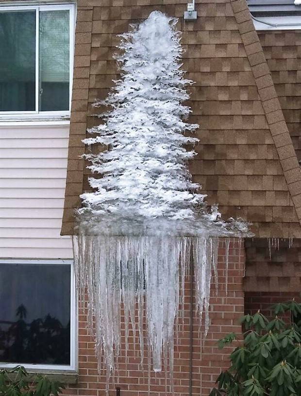 Enchanting Winter Imagery (26 photos)