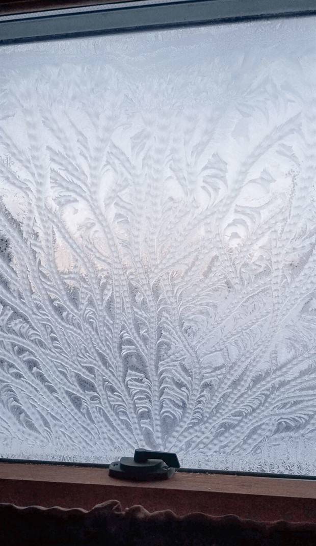 Enchanting Winter Imagery (26 photos)