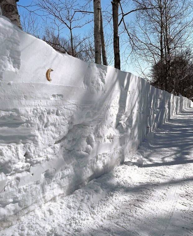 Enchanting Winter Imagery (26 photos)