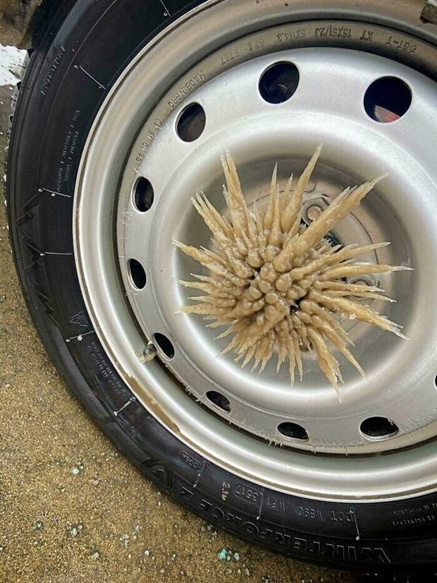 Enchanting Winter Imagery (26 photos)