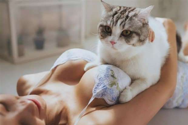 A Little Fun for Adults #343 (26 photos)