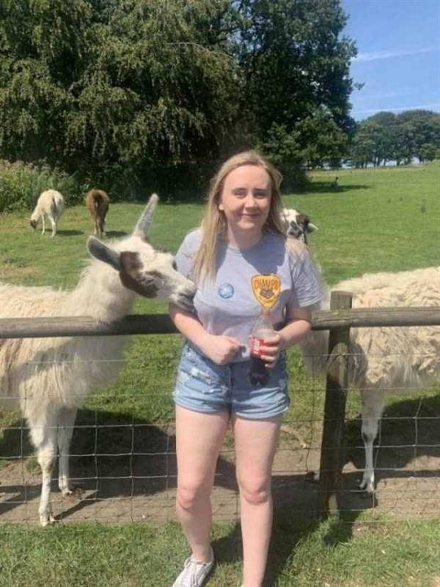 Get Ready for Funny Animals #324 (30 photos)