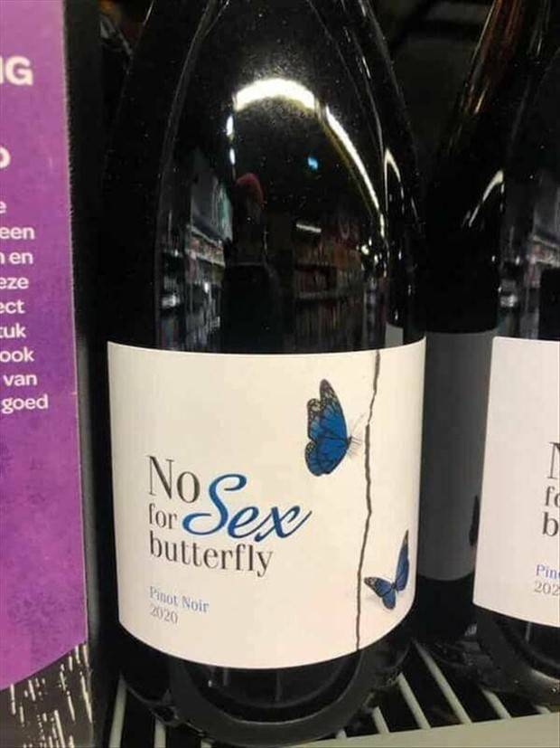 Funny Signs that Will Leave You Perplexed #13 (25 photos)