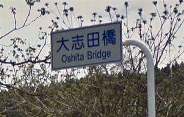 Funny Signs that Will Leave You Perplexed #13 (25 photos)