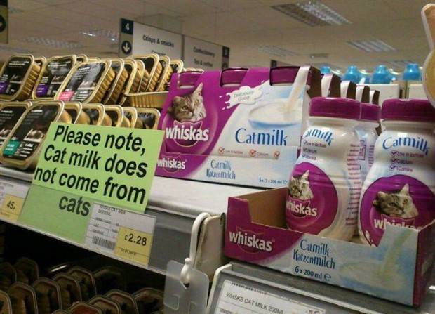 Funny Signs that Will Leave You Perplexed #13 (25 photos)