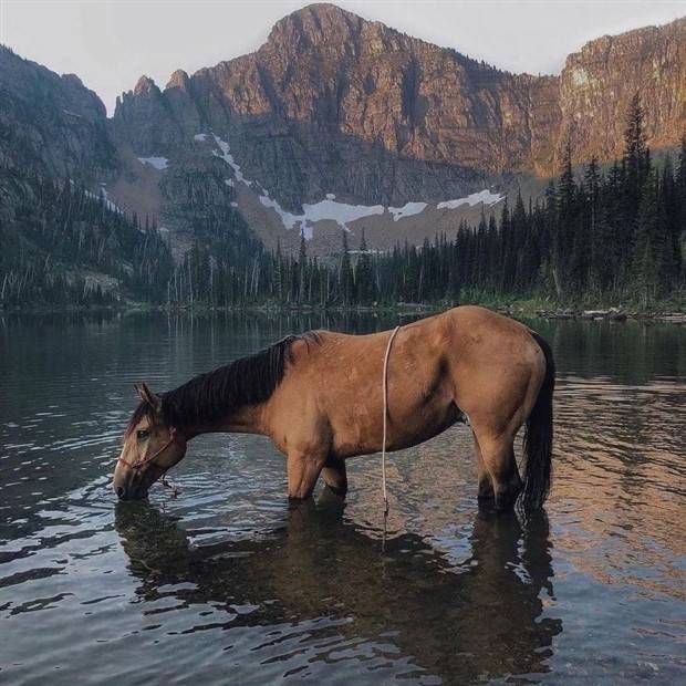 Awesome Pictures You Shouldn’t Miss #92 (29 photos)