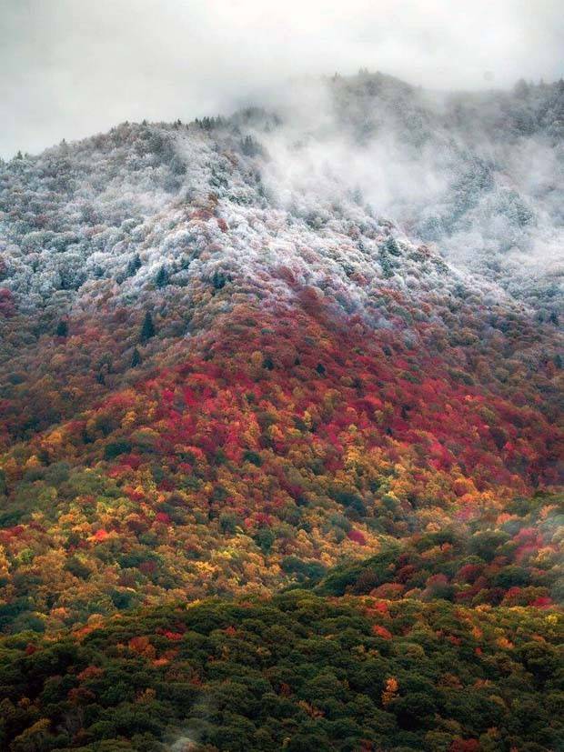 Awesome Pictures You Shouldn’t Miss #92 (29 photos)