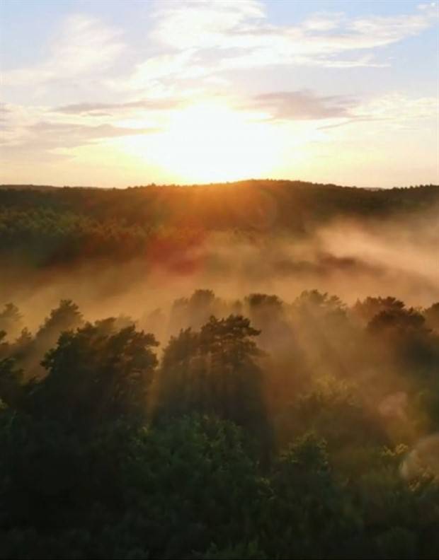 Awesome Pictures You Shouldn’t Miss #92 (29 photos)