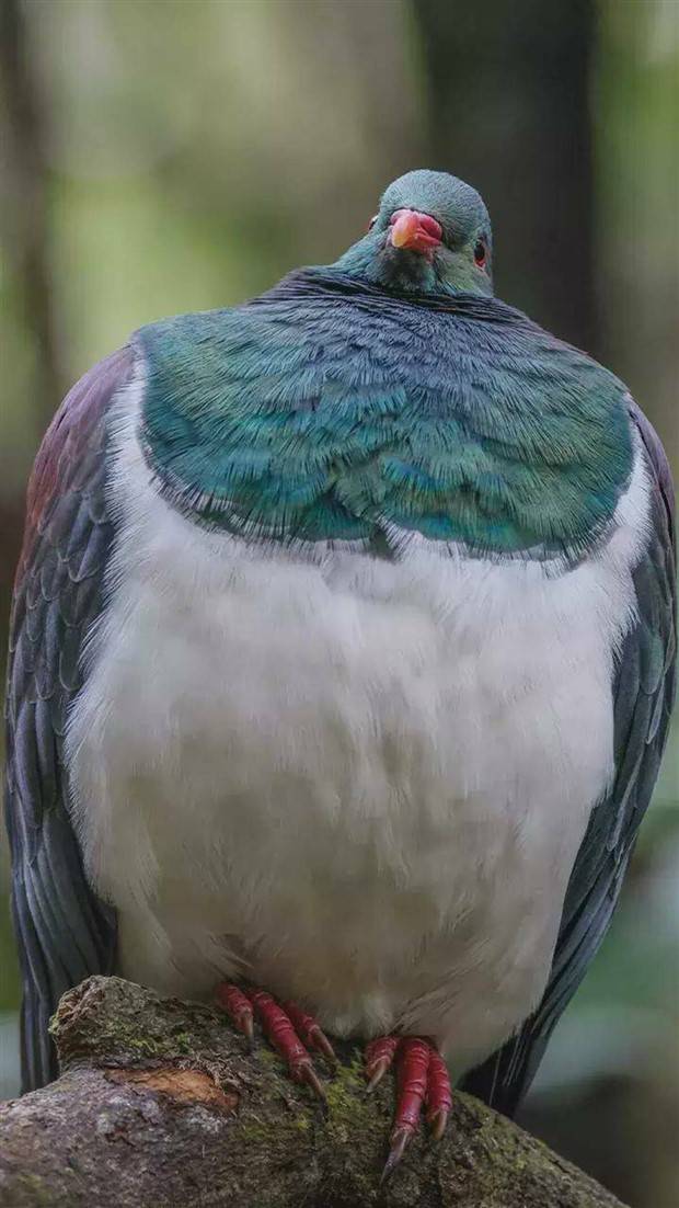 Awesome Pictures You Shouldn’t Miss #92 (29 photos)