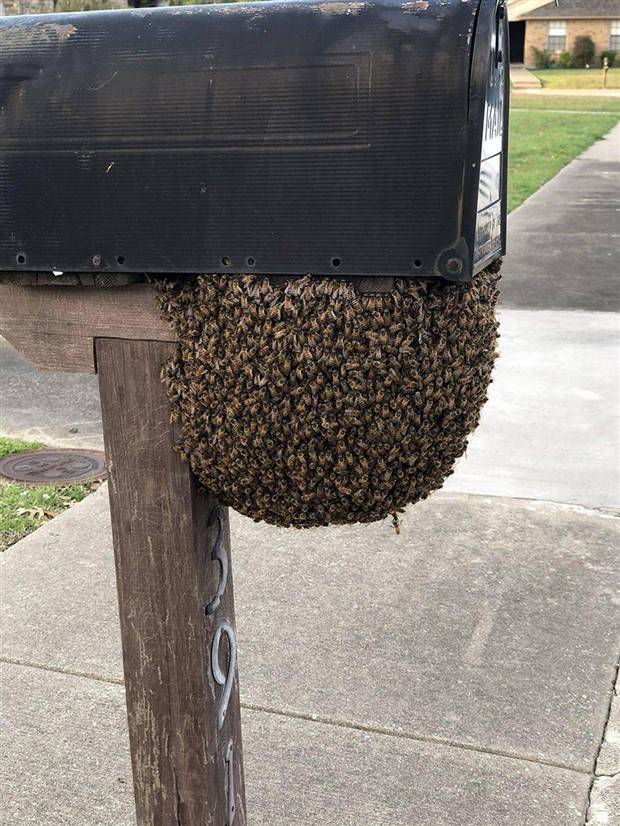 Shit Happens Regularly, Get Used To It #266 (31 photos)