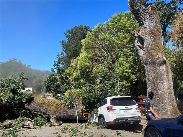 Shit Happens Regularly, Get Used To It #266 (31 photos)