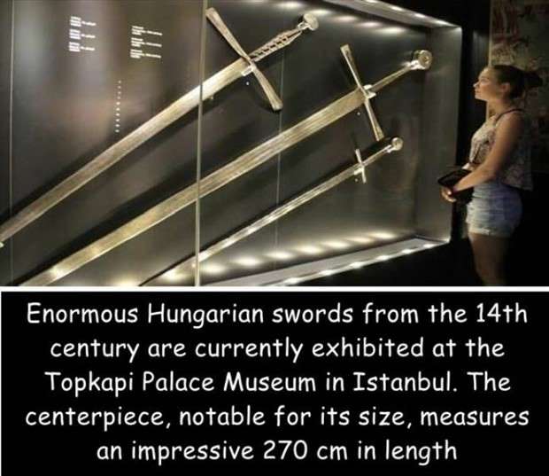 captions in captions 13 Interesting Pictures with Captions #96 (24 photos)