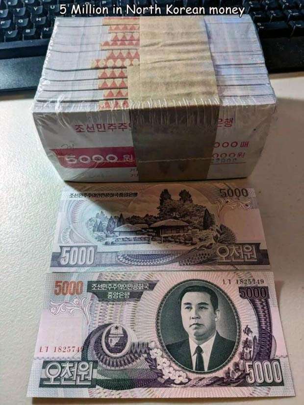 captions in captions 16 Interesting Pictures with Captions #96 (24 photos)