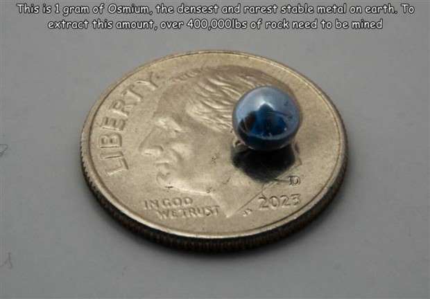 captions in captions 18 Interesting Pictures with Captions #96 (24 photos)