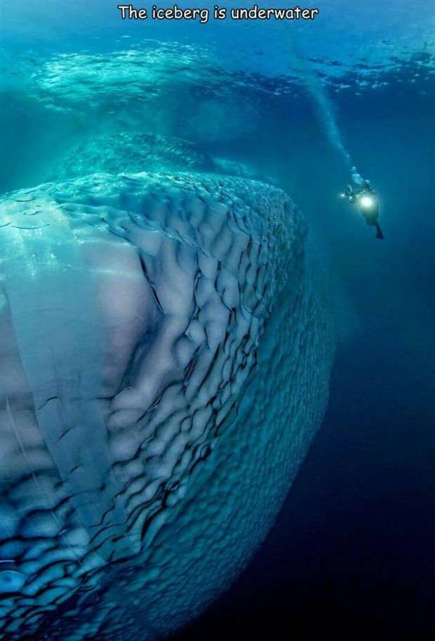 captions in captions 21 Interesting Pictures with Captions #96 (24 photos)