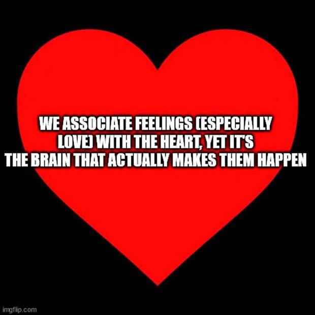 Funny Shower Thoughts #93 (27 photos)