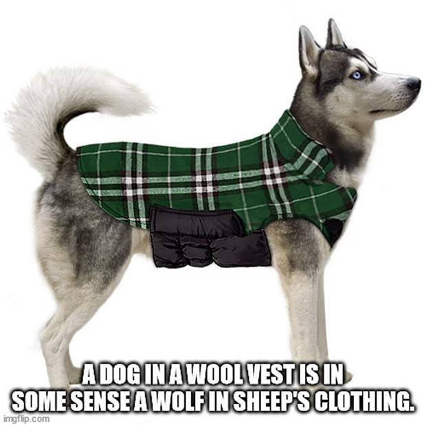 Funny Shower Thoughts #93 (27 photos)