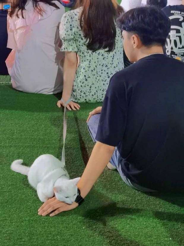 Get Ready for Funny Animals #326 (25 photos)