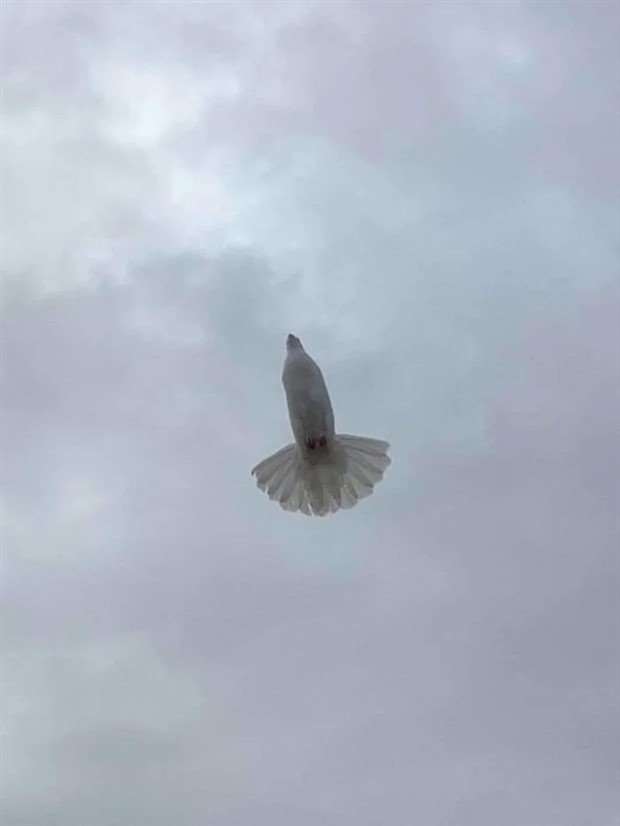 Get Ready for Funny Animals #326 (25 photos)