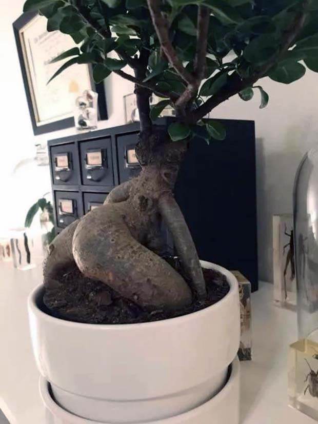 Funny Pics and Memes to Make You Laugh #96 (26 photos)