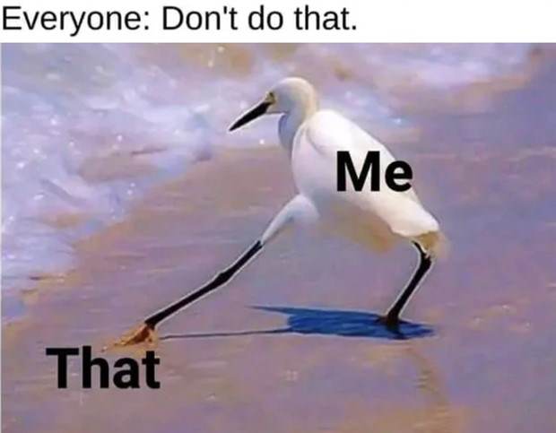 Funny Pics and Memes to Make You Laugh #96 (26 photos)