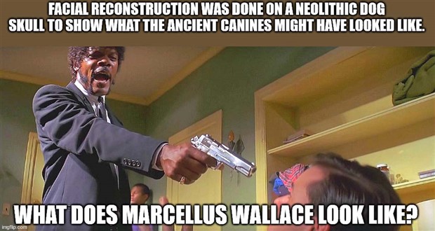 It’s Time for Some Cool and Interesting Facts #370 (26 photos)