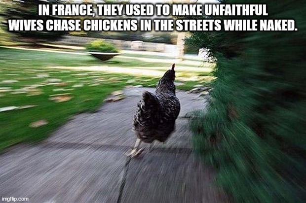 It’s Time for Some Cool and Interesting Facts #370 (26 photos)