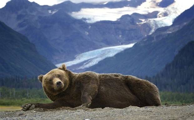 Klyker Picdump #1417 (52 photos)