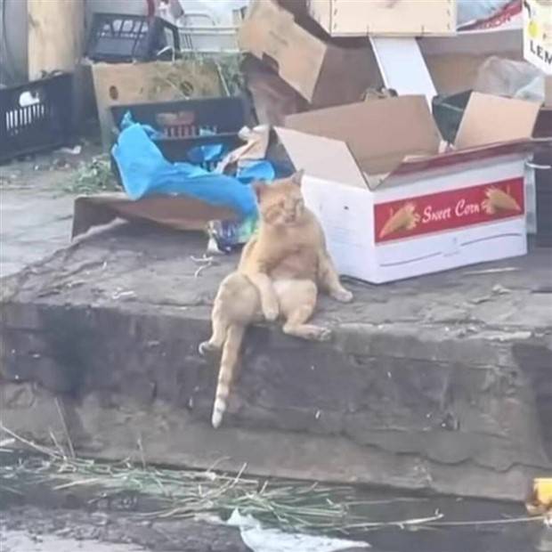 Klyker Picdump #1417 (52 photos)