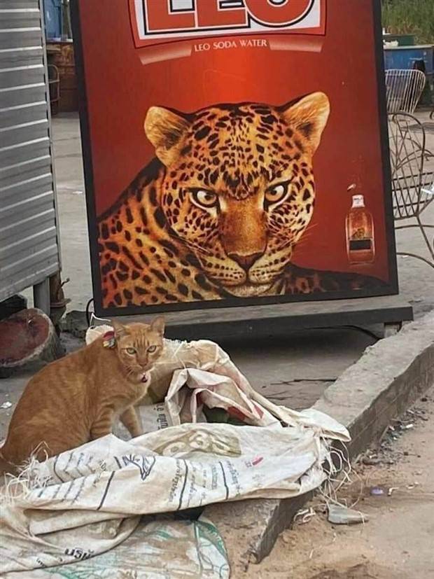 Klyker Picdump #1417 (52 photos)