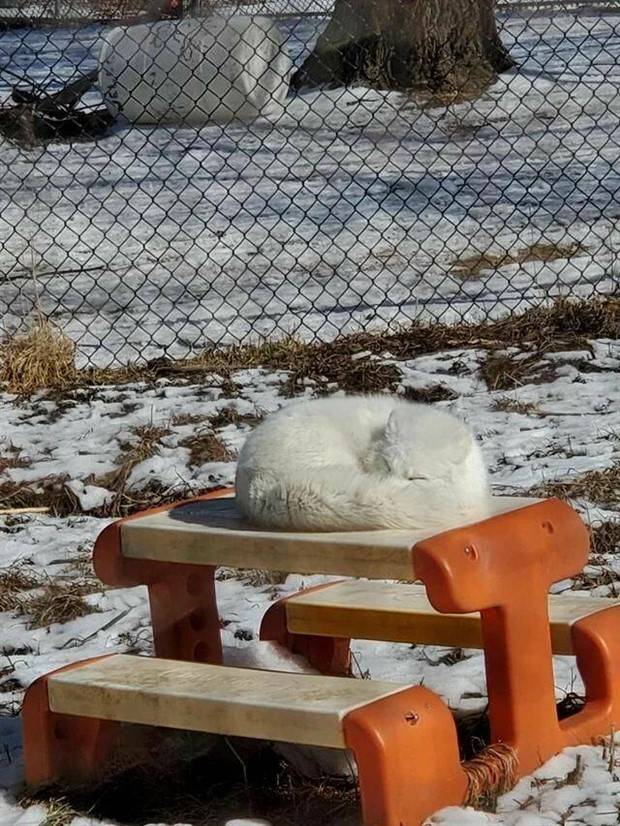 Klyker Picdump #1417 (52 photos)