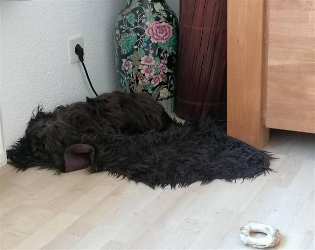 Klyker Picdump #1417 (52 photos)