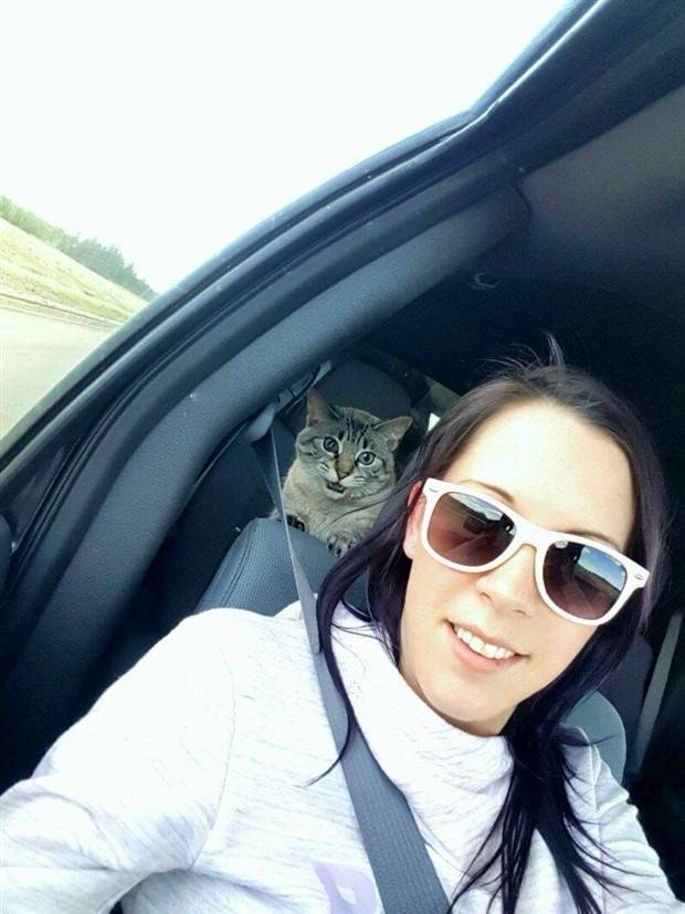 Klyker Picdump #1417 (52 photos)