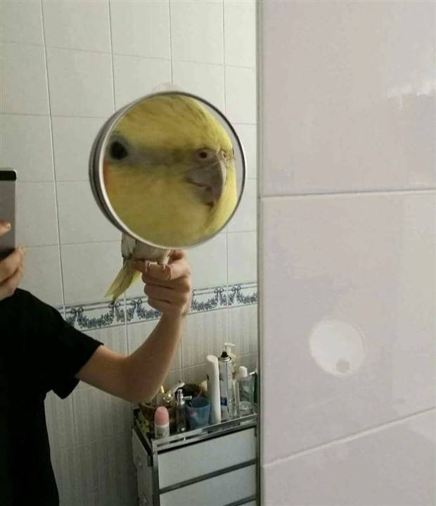 Klyker Picdump #1417 (52 photos)