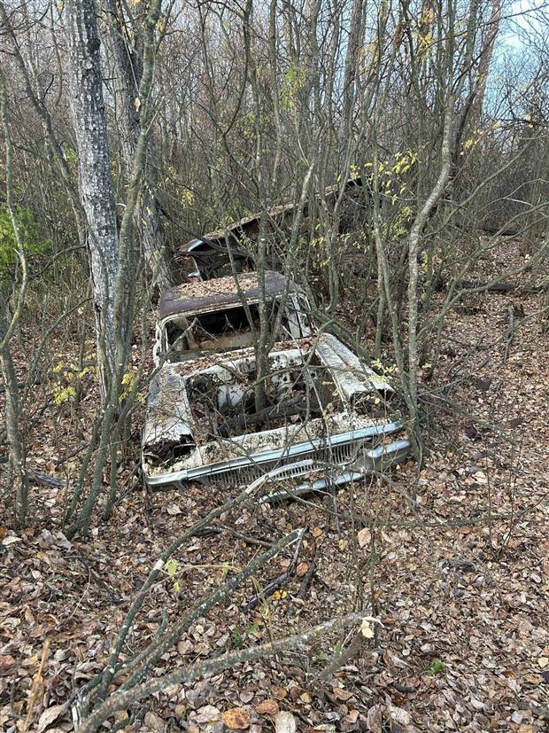 Klyker Picdump #1417 (52 photos)