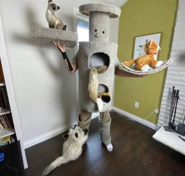 Klyker Picdump #1417 (52 photos)