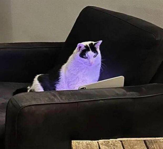 Klyker Picdump #1418 (53 photos)