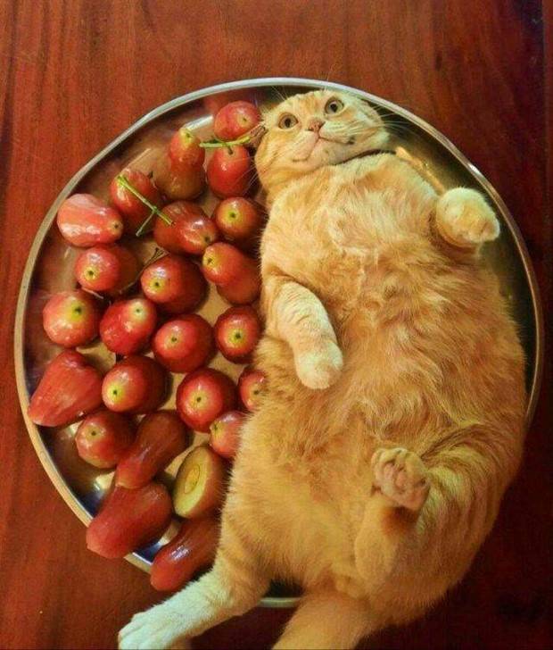 Klyker Picdump #1418 (53 photos)