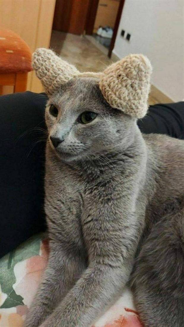 Klyker Picdump #1418 (53 photos)