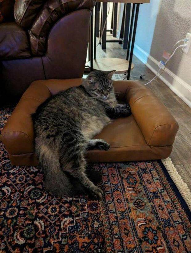 Klyker Picdump #1418 (53 photos)