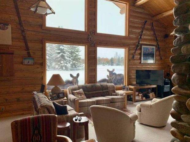 Klyker Picdump #1418 (53 photos)