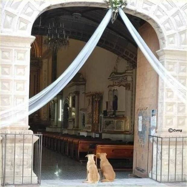 Klyker Picdump #1418 (53 photos)